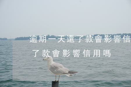 逾期一天還了款會影響信用嗎-逾期一天還了款會影響信用嗎