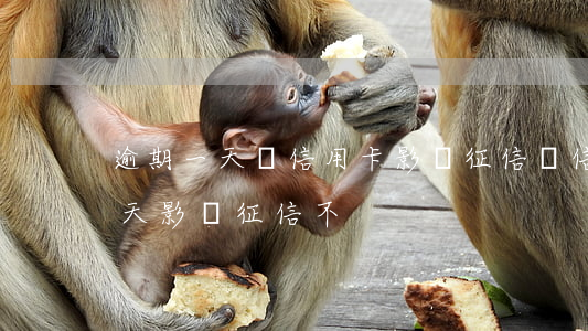 逾期一天還信用卡影響征信嗎（信用卡逾期一天影響征信不）