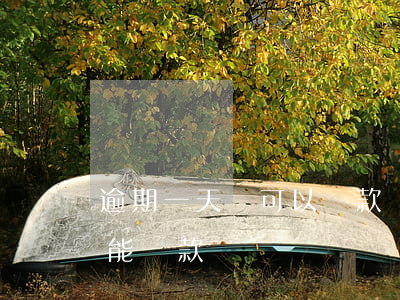逾期一天還可以貸款嗎（信用卡逾期了一天還能貸款嗎）