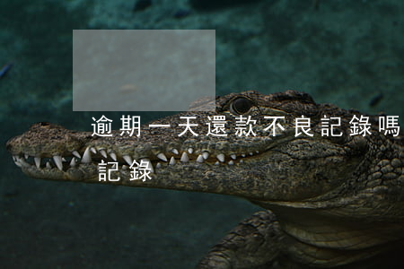 逾期一天還款不良記錄嗎(有過一次還款逾期記錄)