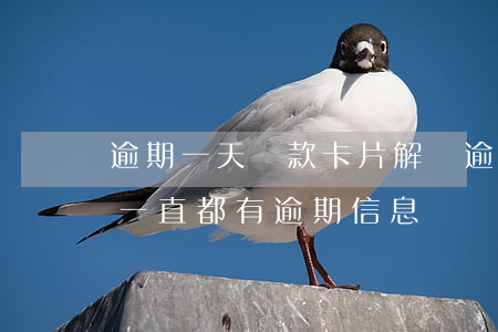 逾期一天還款卡片解凍(逾期后還清注銷卡片一直都有逾期信息嗎?)