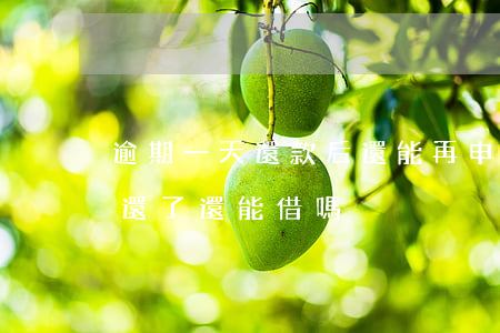 逾期一天還款后還能再申請貸嗎-逾期一天還了還能借嗎