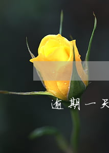 逾期一天還款怎么樣(貸款逾期一天怎么還)