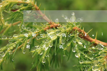逾期一天還款會(huì)怎么樣(銀行卡逾期一天還款會(huì)怎么樣)