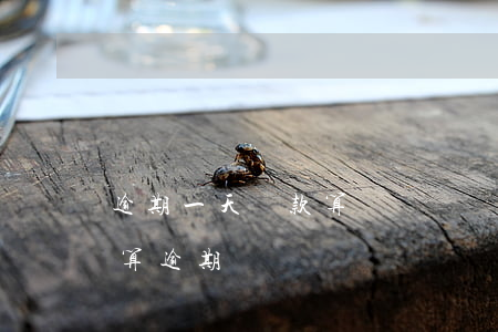 逾期一天還款算違約嗎(還款日逾期一天算不算逾期)