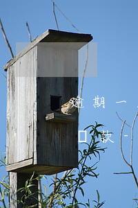 逾期一天還清后多久可以申請(qǐng)貸款-逾期一天還清后多久可以申請(qǐng)貸款買(mǎi)房