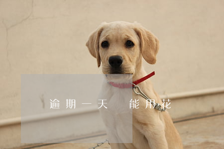 逾期一天還能用花唄嗎