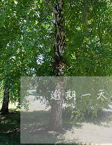 逾期一天银行风控(银行风控三天)