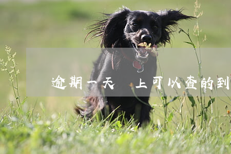 逾期一天馬上可以查的到嗎