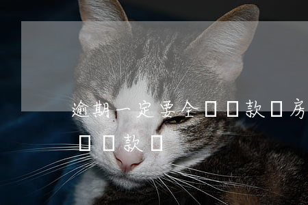 逾期一定要全額還款嗎(房貸逾期過能申請全額還款嗎)