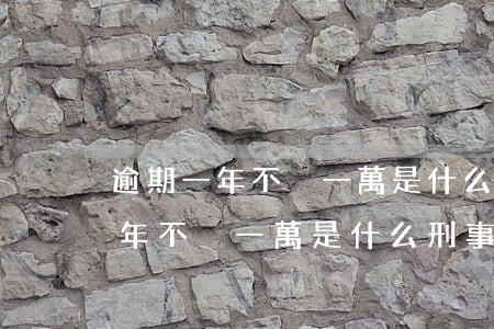逾期一年不夠一萬是什么刑事處罰-逾期一年不夠一萬是什么刑事處罰呢