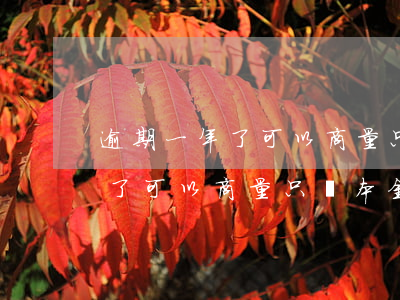 逾期一年了可以商量只還本金嗎-逾期一年了可以商量只還本金嗎