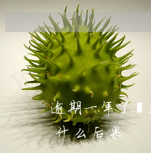 逾期一年了沒起訴怎么辦(逾期被起訴不去有什么后果)