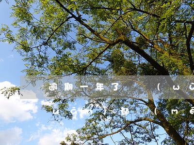 逾期一年了稅務(wù)機(jī)關(guān)都沒(méi)聯(lián)系我-稅款逾期稅務(wù)局都不提醒嗎
