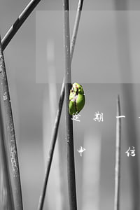 逾期一年了能申請信用卡嗎(有逾期多久可以申請信用卡)
