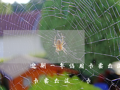 逾期一年信用卡要去注銷卡嗎(逾期一年信用卡要去注銷卡嗎)