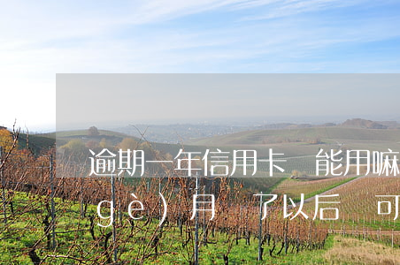 逾期一年信用卡還能用嘛(信用卡逾期一個(gè)月還了以后還可以用嗎)