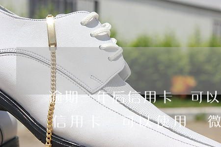 逾期一年后信用卡還可以使用嗎(逾期一年后信用卡還可以使用嗎微信)