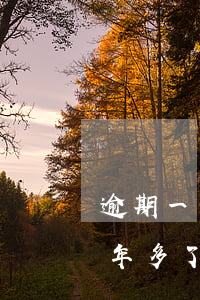 逾期一年多不接催款电话会怎么样-逾期一年多了还在催收