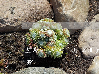 逾期一年多了怎么處理(逾期一年多了怎么處理)