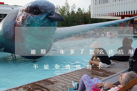 逾期一年多了怎么还信用卡(一年前逾期了能不能申请信用卡)
