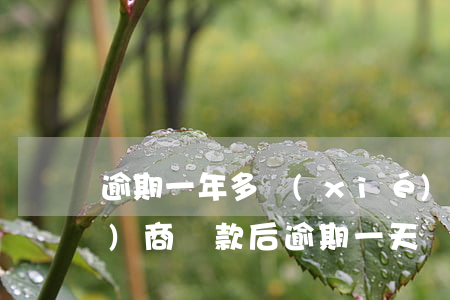 逾期一年多協(xié)商還款(協(xié)商還款后逾期一天)
