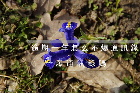 逾期一年怎么不爆通訊錄(沒有逾期會(huì)爆通訊錄嗎)