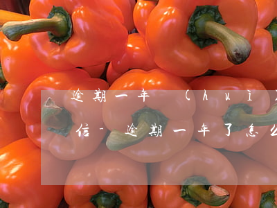 逾期一年會(huì)不會(huì)上征信-逾期一年了怎么辦