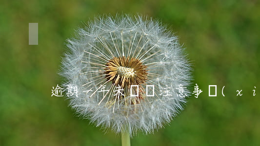 逾期一年未換證注意事項(xiàng)