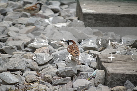 逾期一年沒(méi)還款怎么辦(有沒(méi)有逾期幾年沒(méi)還的)