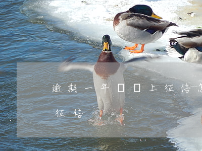 逾期一年沒還上征信怎么辦（逾期一年沒還上征信）