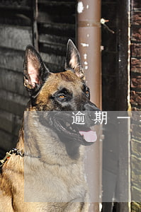 逾期一年沒還款(逾期一年沒還款是還本金嗎)