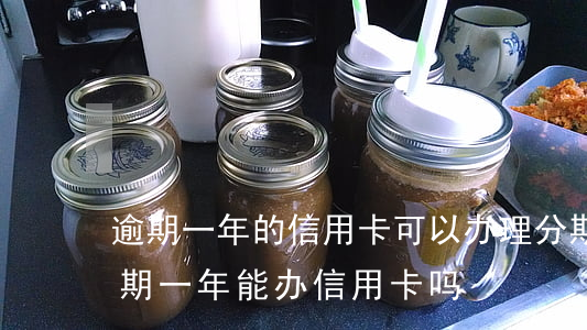 逾期一年的信用卡可以办理分期吗(来分期逾期一年能办信用卡吗)
