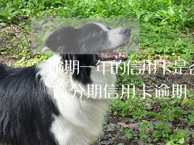 逾期一年的信用卡是否可以去協(xié)商分期（信用卡逾期協(xié)商分期還款是真的嗎）