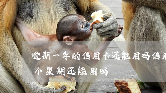 逾期一年的信用卡还能用吗（信用卡逾期了一个星期还能用吗）
