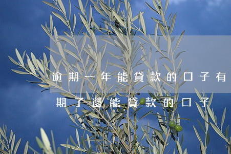 逾期一年能貸款的口子(有沒(méi)有逾期了還能貸款的口子)