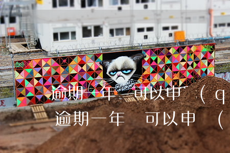 逾期一年還可以申請(qǐng)信用卡嗎(逾期一年還可以申請(qǐng)信用卡嗎)