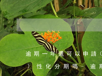 逾期一年還可以申請(qǐng)個(gè)性化分期嗎-逾期一年還可以申請(qǐng)個(gè)性化分期嗎