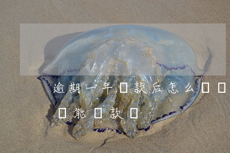 逾期一年還款后怎么還貸(貸款逾期一月還了還能貸款嗎)