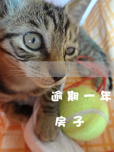 逾期一年還沒收房怎么辦(房貸逾期半年會收房子嗎)