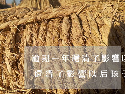 逾期一年還清了影響以后孩子嗎-逾期一年還清了影響以后孩子嗎有影響嗎
