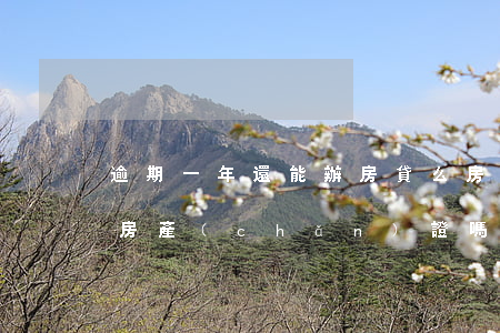 逾期一年還能辦房貸么(房貸逾期一年可以辦房產(chǎn)證嗎)