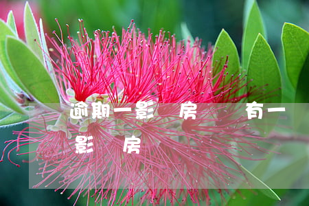 逾期一影響房貸嗎(有一條逾期會(huì)影響房貸嗎)