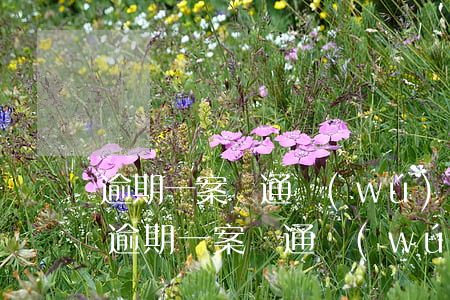 逾期一案溝通無(wú)果采取走訪方式-逾期一案溝通無(wú)果采取走訪方式