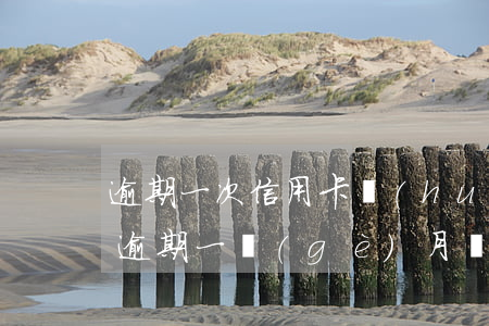 逾期一次信用卡會(huì)降額嗎(信用卡逾期一個(gè)月會(huì)降額度嗎)