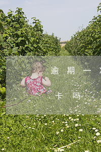 逾期一次信用卡能批吗(逾期一次可以办信用卡吗)