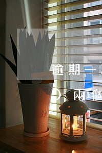 逾期一次兩個月的信用卡(信用卡連續(xù)兩個月逾期一天)