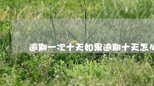逾期一次十天 如果逾期十天怎么辦
