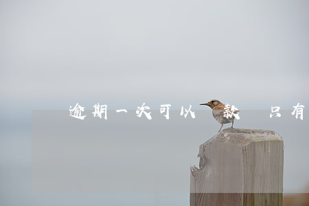 逾期一次可以貸款嗎(只有一次逾期影響貸款嗎)