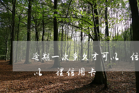 逾期一次多久才可以辦信用卡（逾期過兩次可以辦理信用卡嗎）
